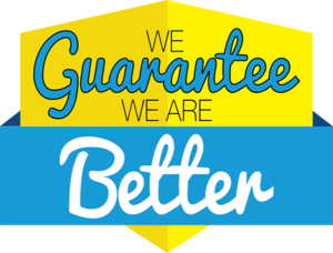 The Dollar Loan Center Guarantee